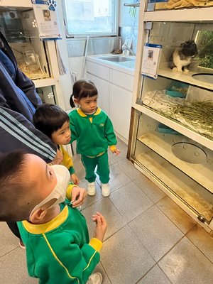 幼兒班參觀愛護動物協會